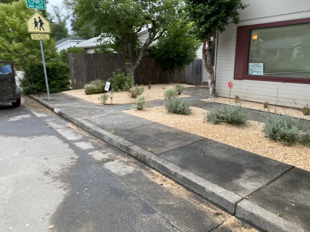 Expert landscape installation for year-round maintenance across Santa Rosa, CA - J&J Landscape