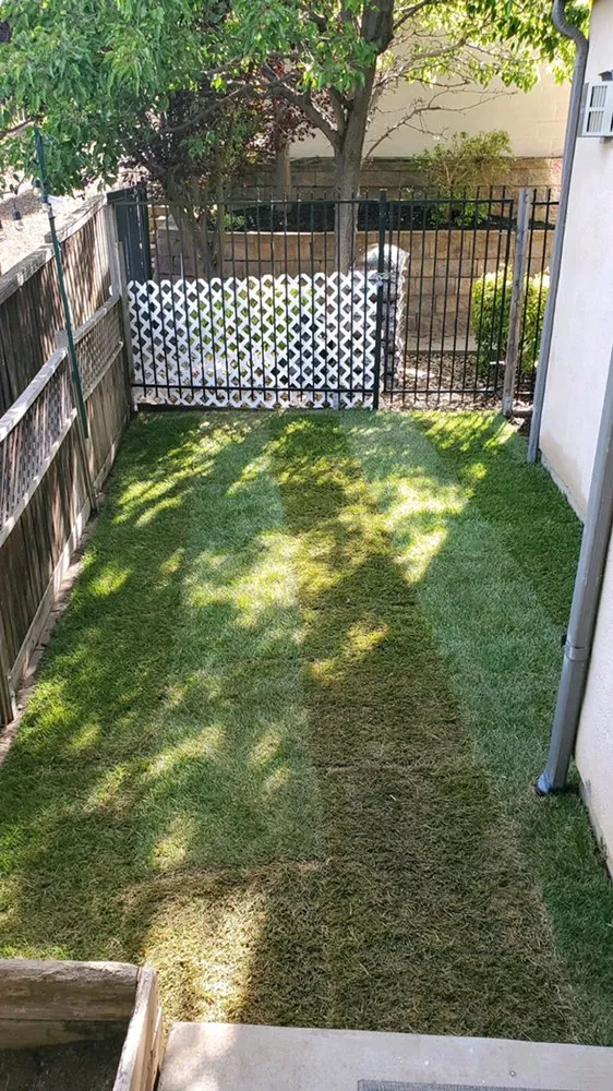 Custom yard maintenance in Santa Rosa, CA - J&J Landscape