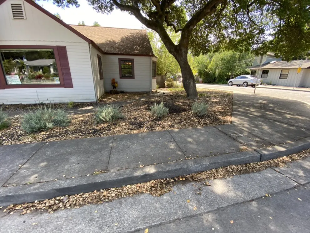 Local lawn care service experts serving Santa Rosa, CA - J&J Landscape