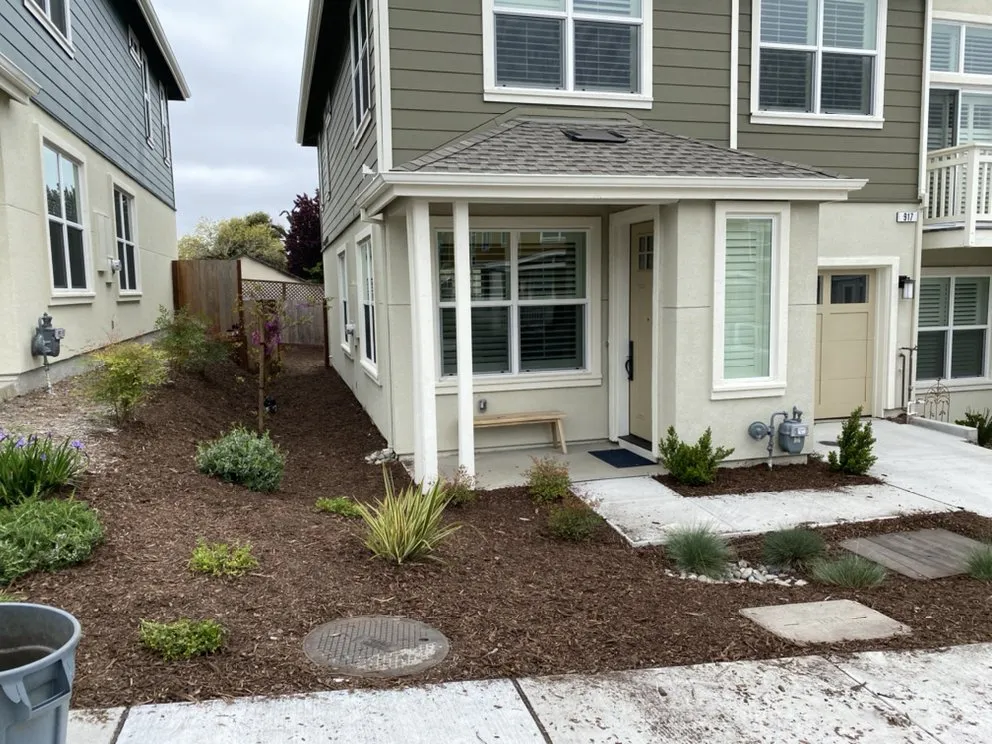 Professional yard cleanup service in Santa Rosa, CA - J&J Landscape