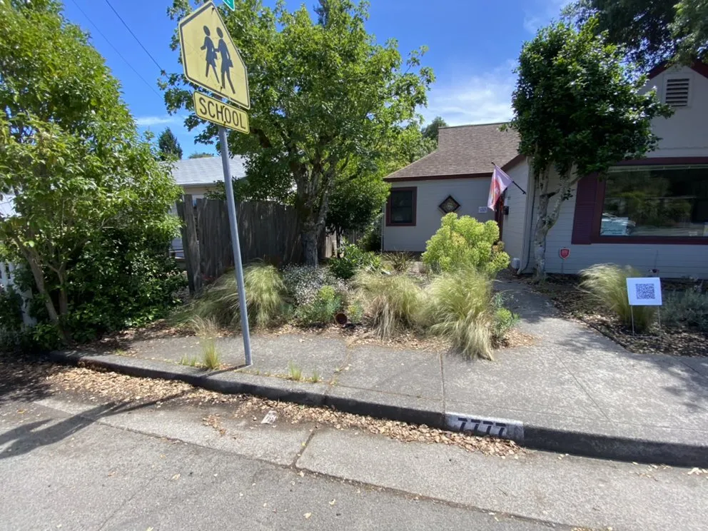 Trusted yard cleanup service in Santa Rosa, CA by J&J Landscape