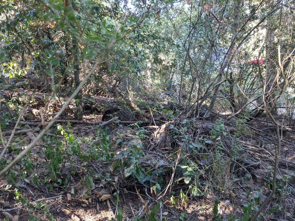 Custom yard maintenance in Santa Rosa, CA by J&J Landscape