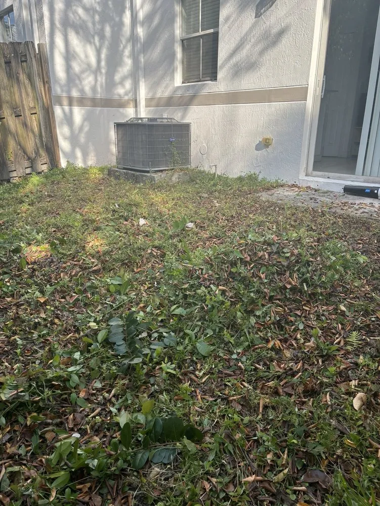 Professional landscape installation in Tamiami, FL - JJ Landscape