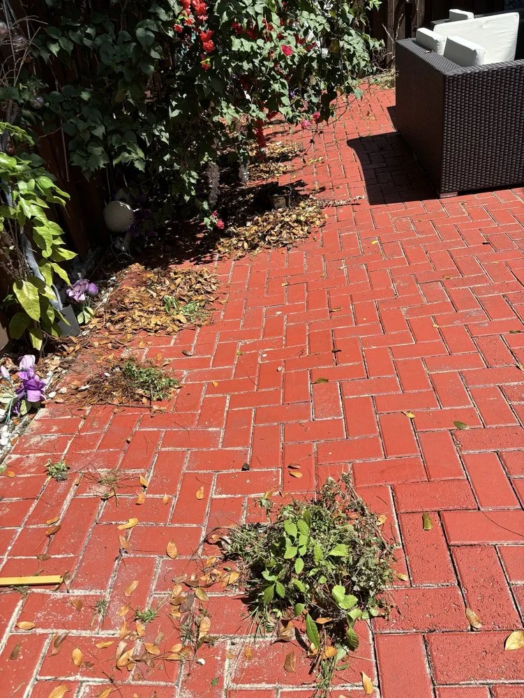 Custom landscaping services for year-round maintenance in Tamiami, FL by JJ Landscape