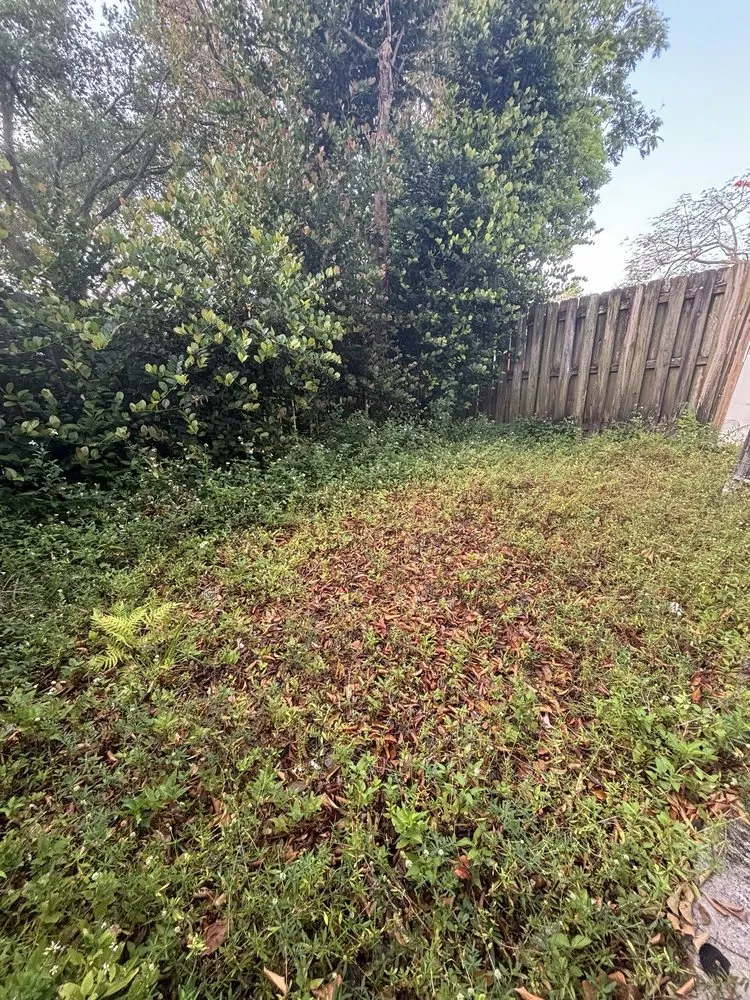 Top-rated yard maintenance for outdoor upgrades across Tamiami, FL - JJ Landscape