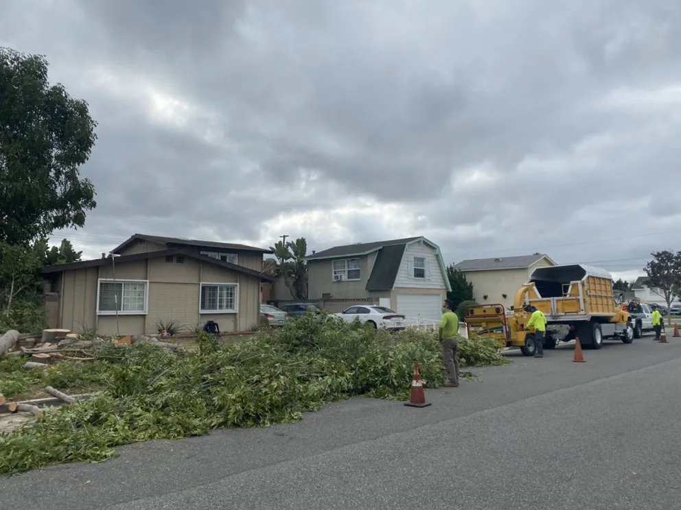 Trusted lawn mowing service for homes across Garden Grove, CA - J&J Landscapes