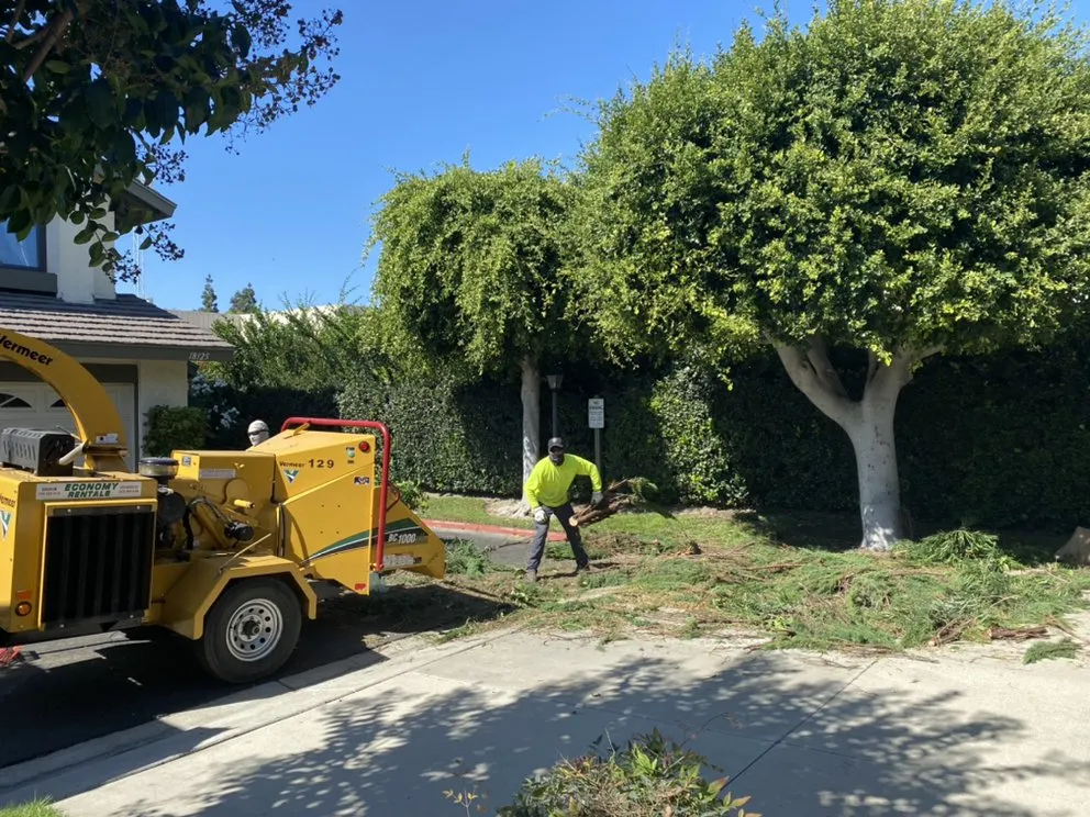 Professional landscaping services for beautiful yards in Garden Grove, CA by J&J Landscapes