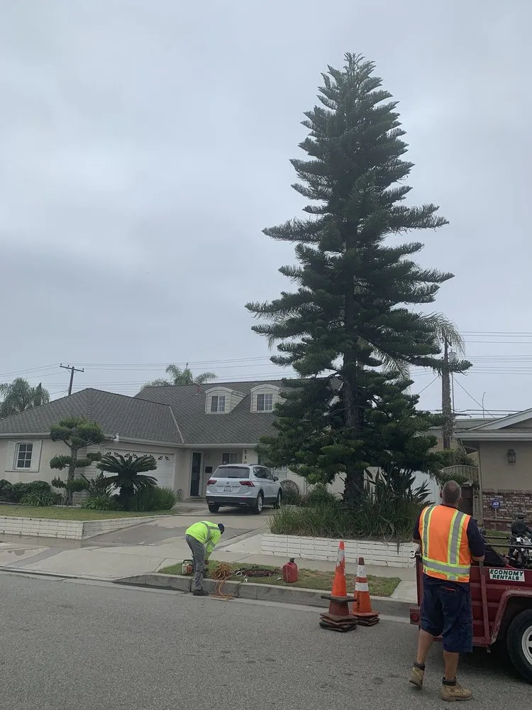 Expert lawn care service in Garden Grove, CA - J&J Landscapes