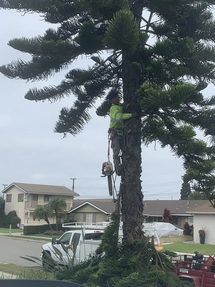 Local yard maintenance for outdoor upgrades across Garden Grove, CA - J&J Landscapes