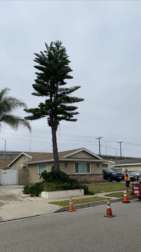 Custom landscape design in Garden Grove, CA by J&J Landscapes