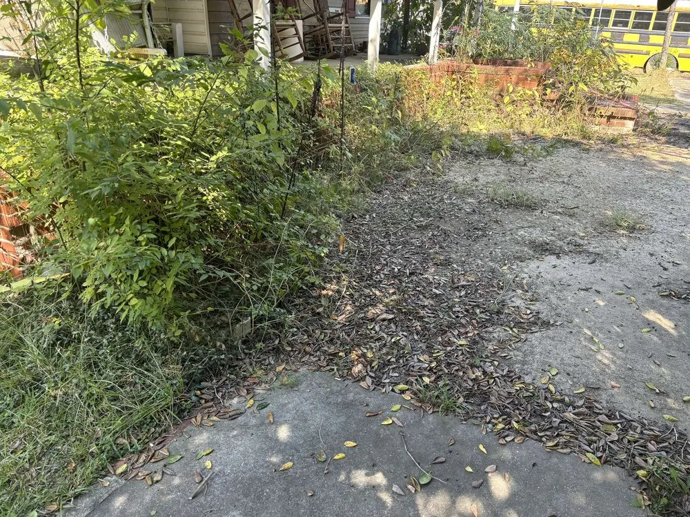 Top-rated landscape design for year-round maintenance across Westover, AL - J&J Landscapes