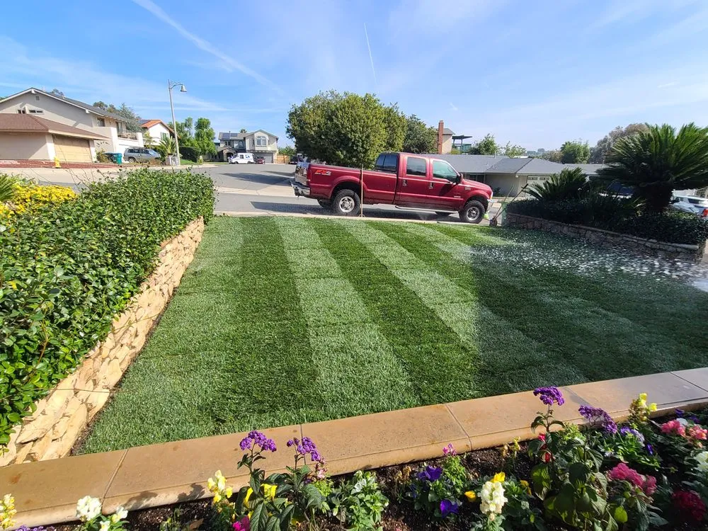 Top-rated yard maintenance for residential properties in Victorville, CA by JJ Landscaping & Handyman