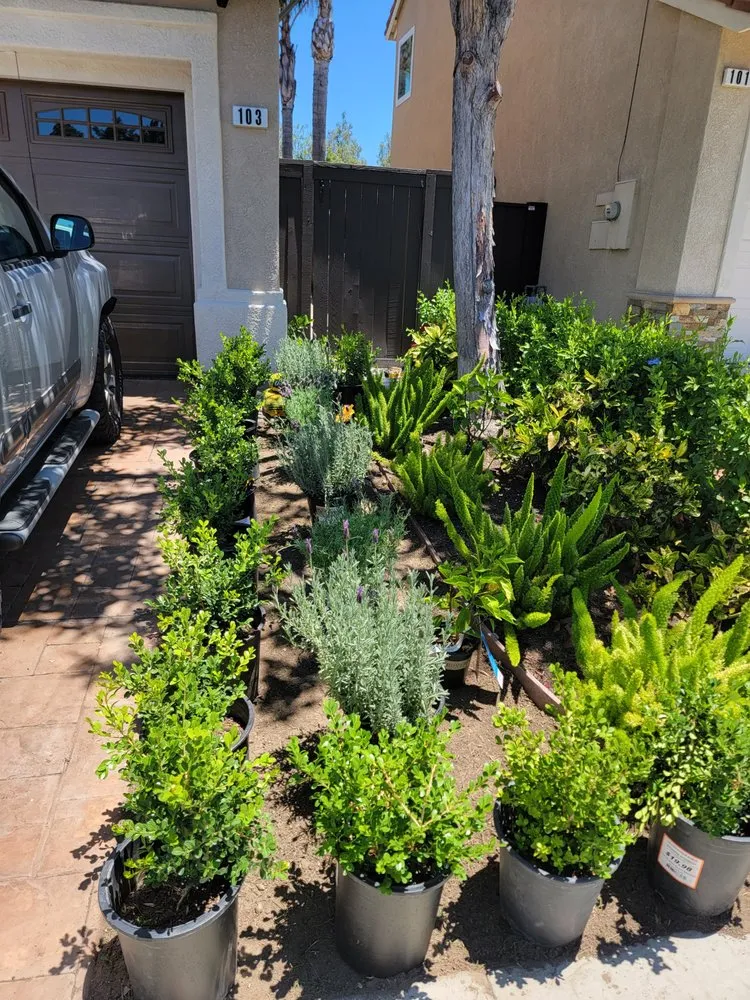 Local outdoor landscaping in Victorville, CA by JJ Landscaping & Handyman