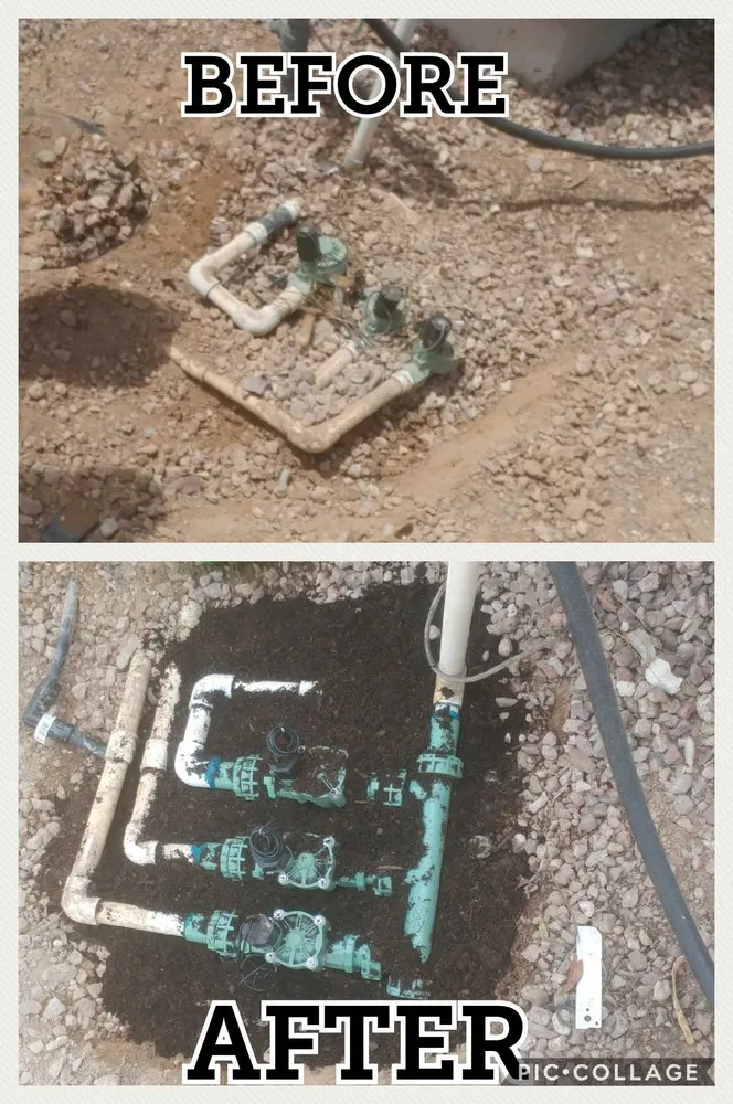 Local lawn care service in Avondale, AZ by JJ Landscaping & Irrigation