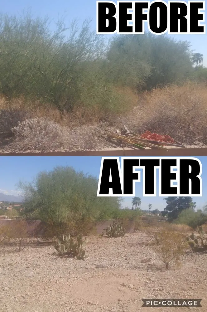 Top-rated residential landscaping experts serving Avondale, AZ - JJ Landscaping & Irrigation