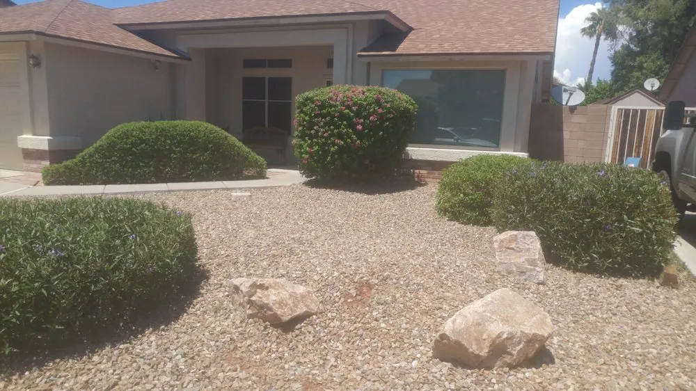 Professional yard maintenance in Avondale, AZ by JJ Landscaping & Irrigation