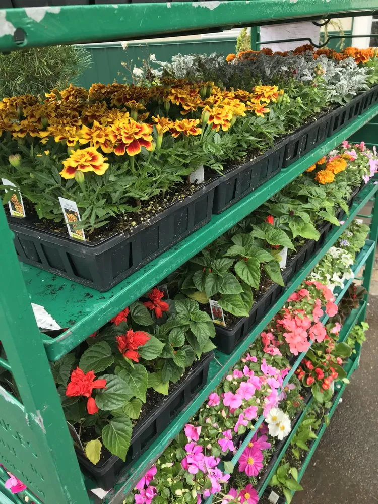 Reliable residential landscaping for beautiful yards across Flemington, NJ - J&J Landscaping and Garden Center