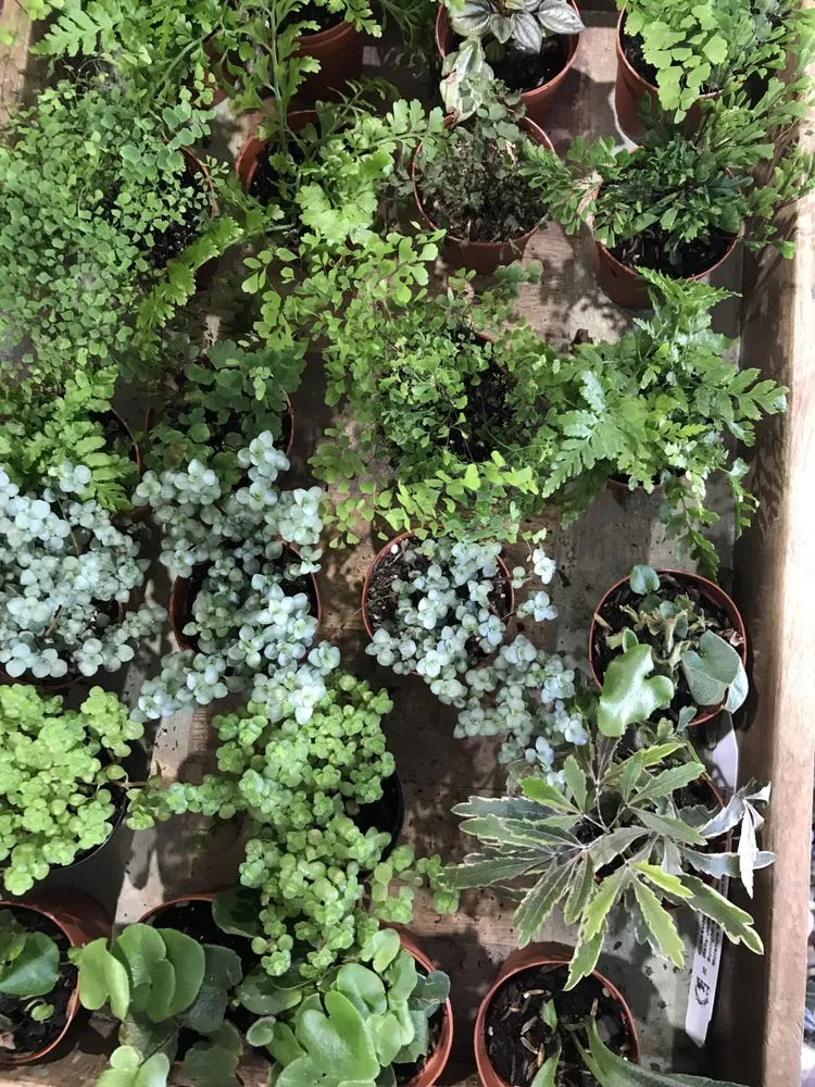 Affordable landscape design in Flemington, NJ - J&J Landscaping and Garden Center