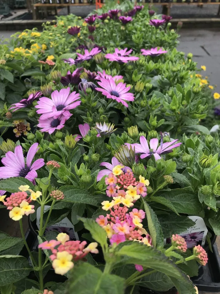 Affordable yard maintenance experts serving Flemington, NJ - J&J Landscaping and Garden Center