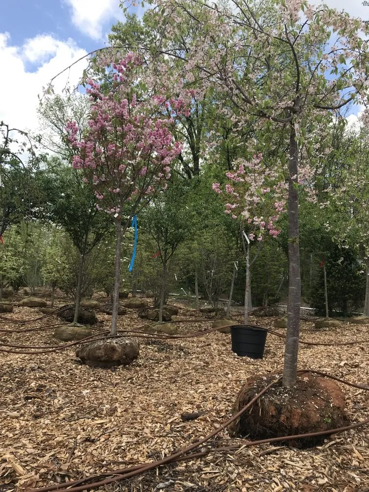 Professional residential landscaping with custom design in Flemington, NJ by J&J Landscaping and Garden Center