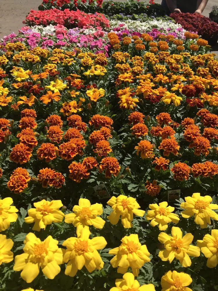 Affordable landscape design experts serving Flemington, NJ - J&J Landscaping and Garden Center