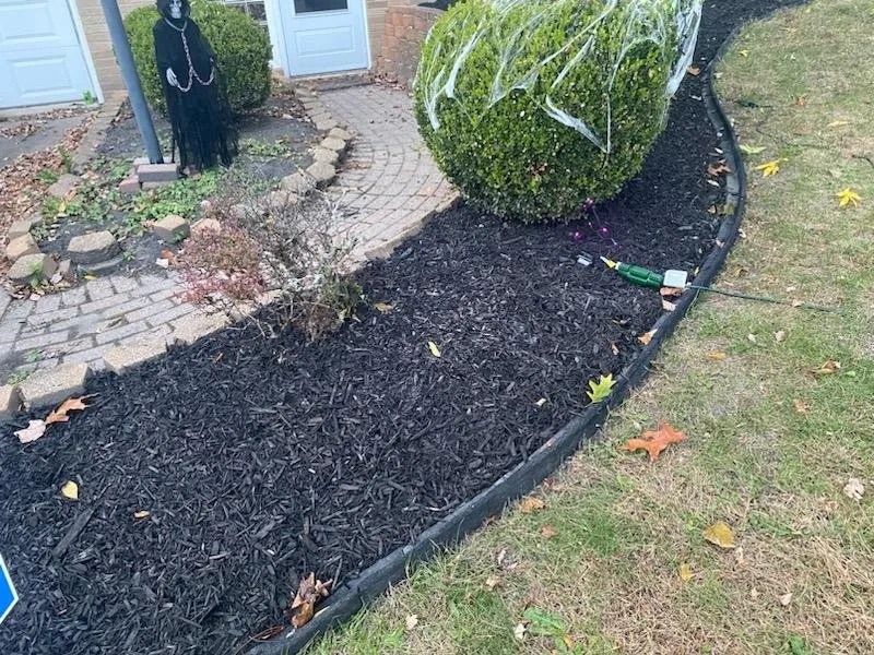 Top-rated yard cleanup service in Canton, OH - J&J Landscaping and Handyman Services