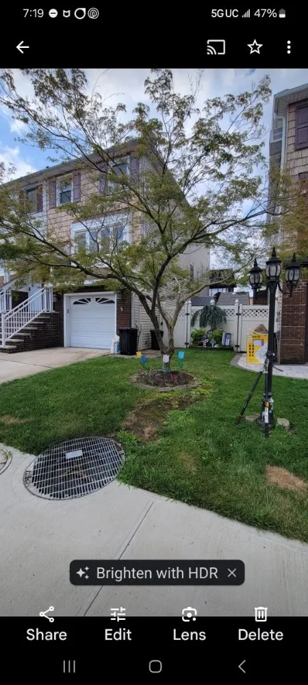 Professional yard cleanup service in Staten Island, NY - J&J Landscaping and Irrigation