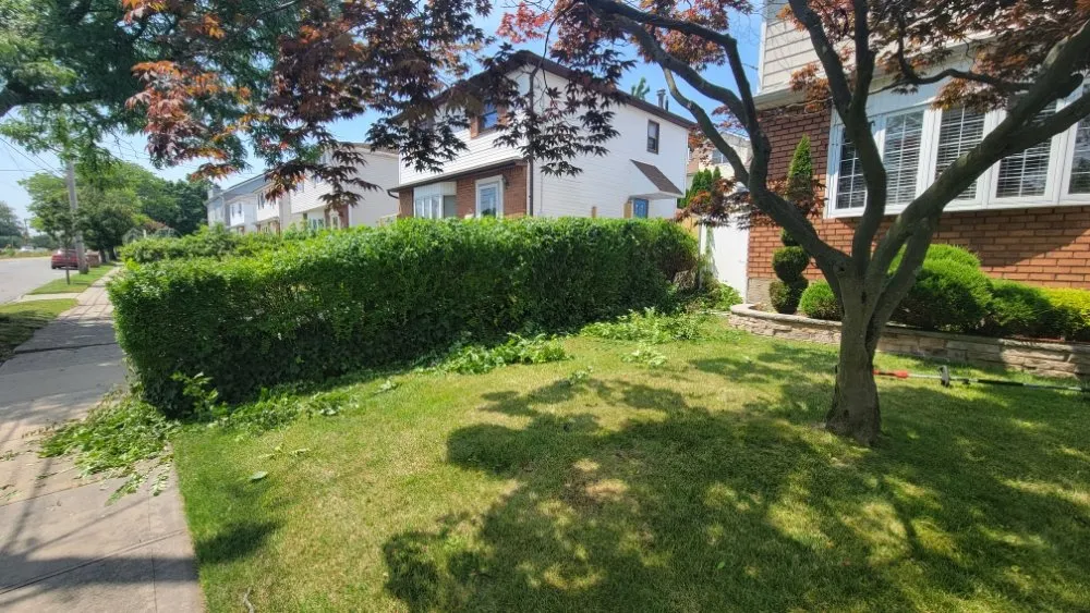 Custom lawn care service in Staten Island, NY by J&J Landscaping and Irrigation