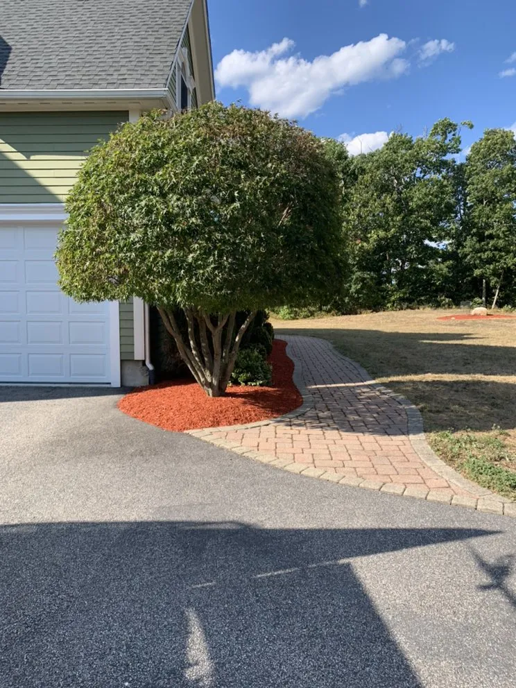 Custom lawn care service experts serving Providence, RI - J&J Landscaping and Tree Service