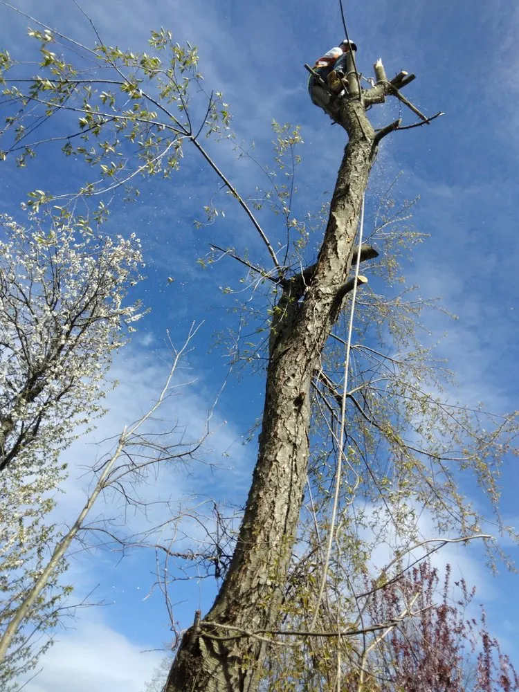 Trusted lawn care service experts serving Providence, RI - J&J Landscaping and Tree Service