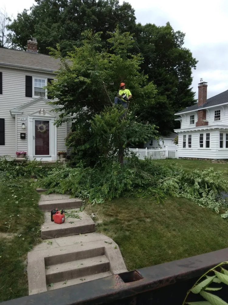 Expert outdoor landscaping for residential properties in Providence, RI by J&J Landscaping and Tree Service
