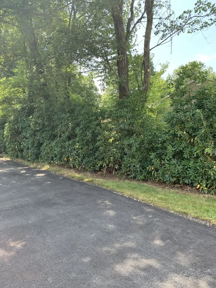 Top-rated yard maintenance experts serving Providence, RI - J&J Landscaping and Tree Service