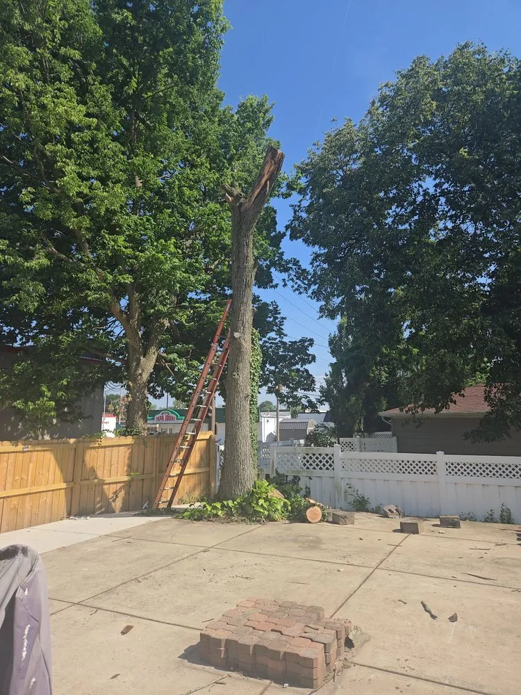 Reliable outdoor landscaping in Griffith, IN - J&J Landscaping and Tree Servie