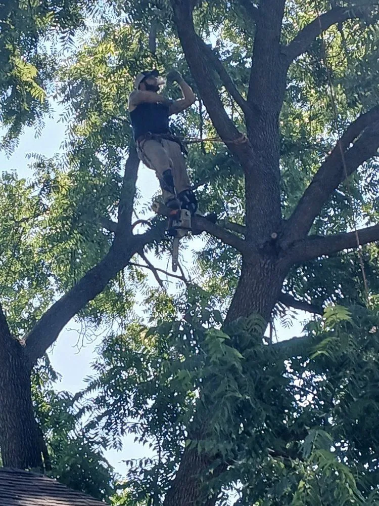 Top-rated garden landscaping for residential properties in Griffith, IN by J&J Landscaping and Tree Servie