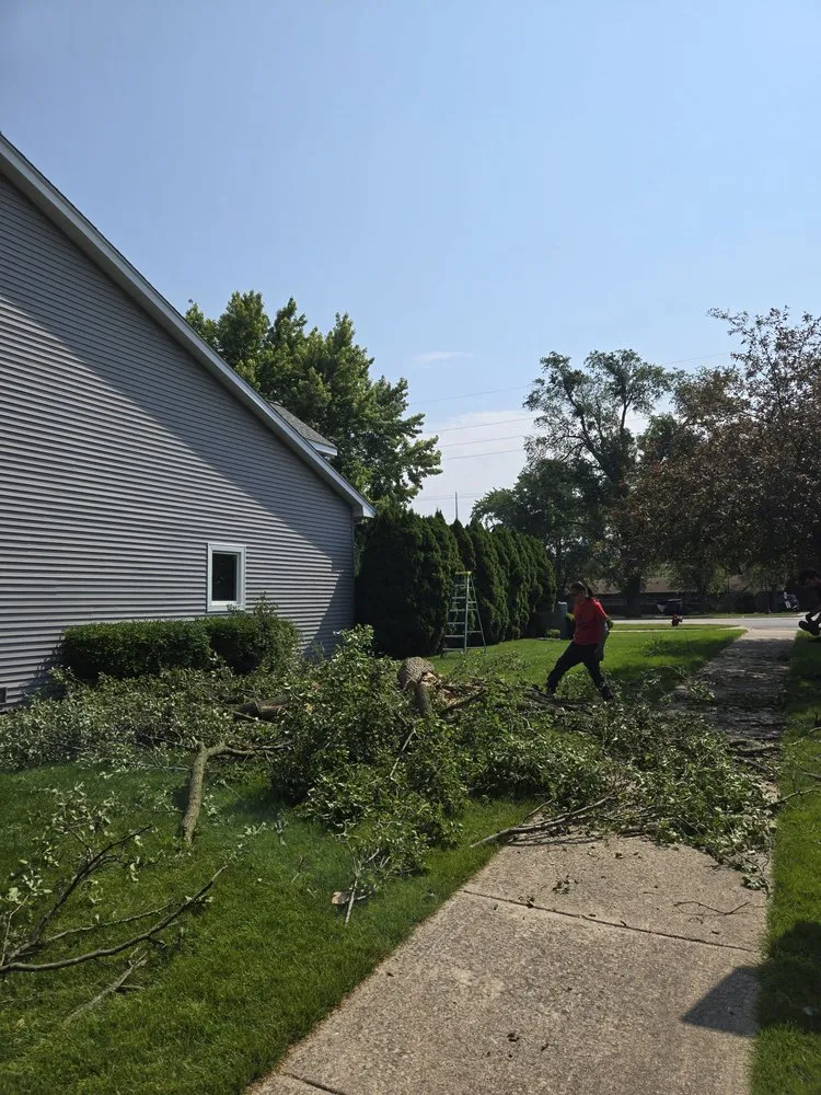 Reliable lawn care service experts serving Griffith, IN - J&J Landscaping and Tree Servie