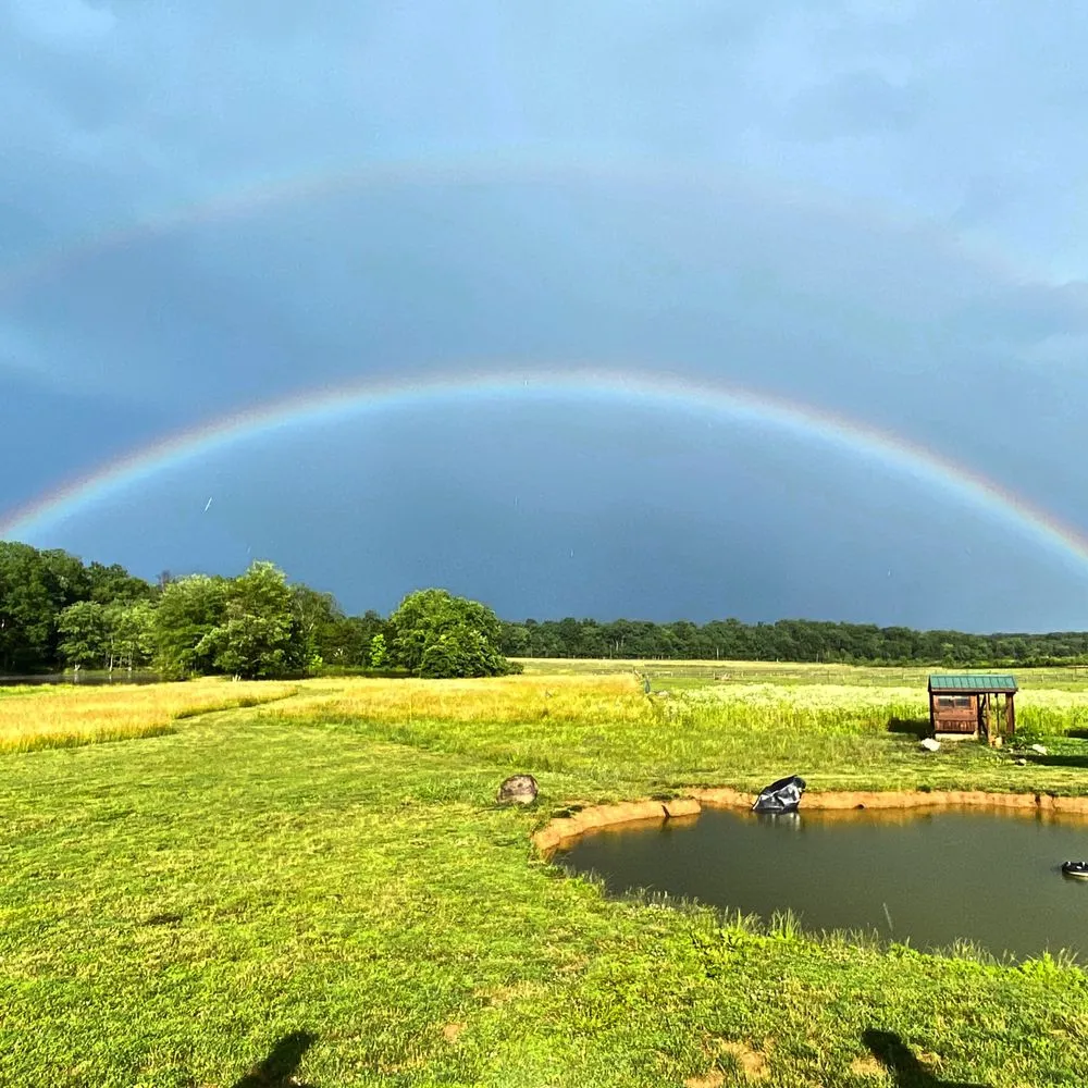 Local yard cleanup service in Boyds, MD by J&J Landscaping