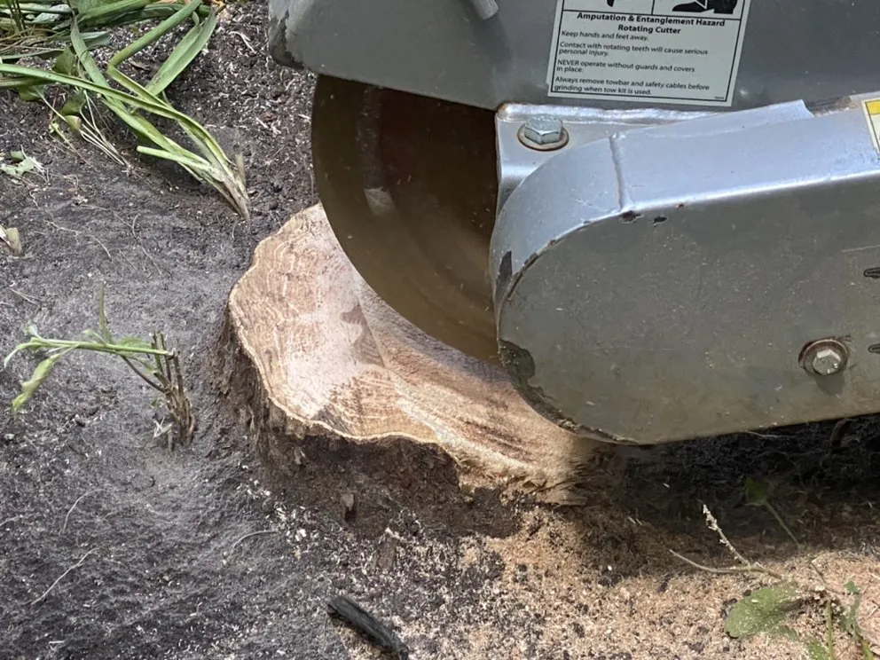 Custom landscape design in Boyds, MD - J&J Landscaping