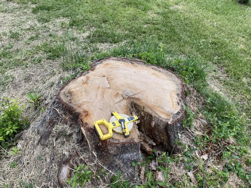 Professional landscape installation in Boyds, MD by J&J Landscaping