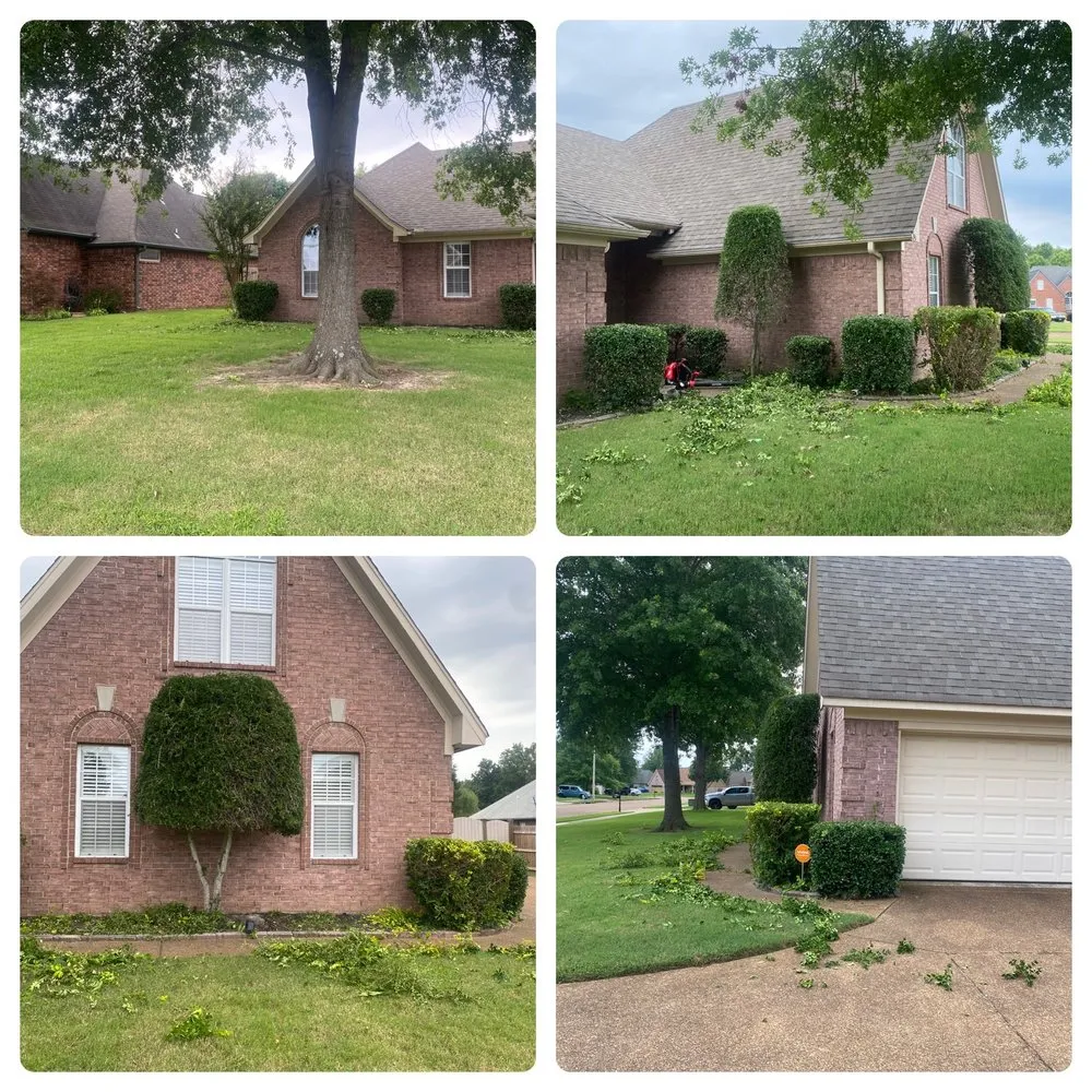 Professional garden landscaping experts serving Covington, TN - JJ Landscaping