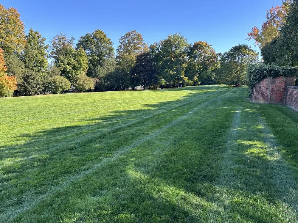 Custom landscaping services experts serving New Rochelle, NY - JJ Landscaping Environemental