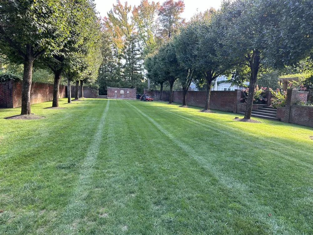 Trusted yard cleanup service for year-round maintenance in New Rochelle, NY by JJ Landscaping Environemental