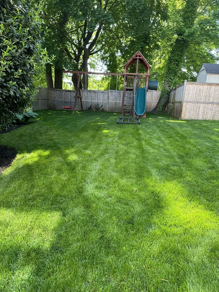 Local yard cleanup service experts serving New Rochelle, NY - JJ Landscaping Environemental