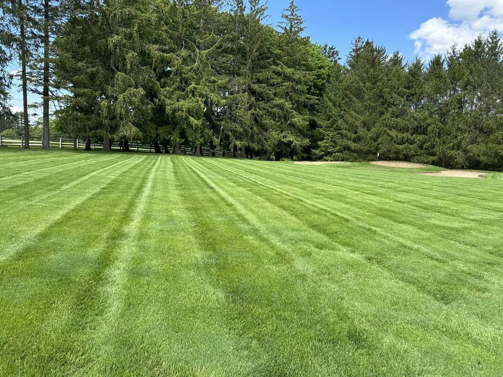 Trusted garden landscaping in New Rochelle, NY - JJ Landscaping Environemental