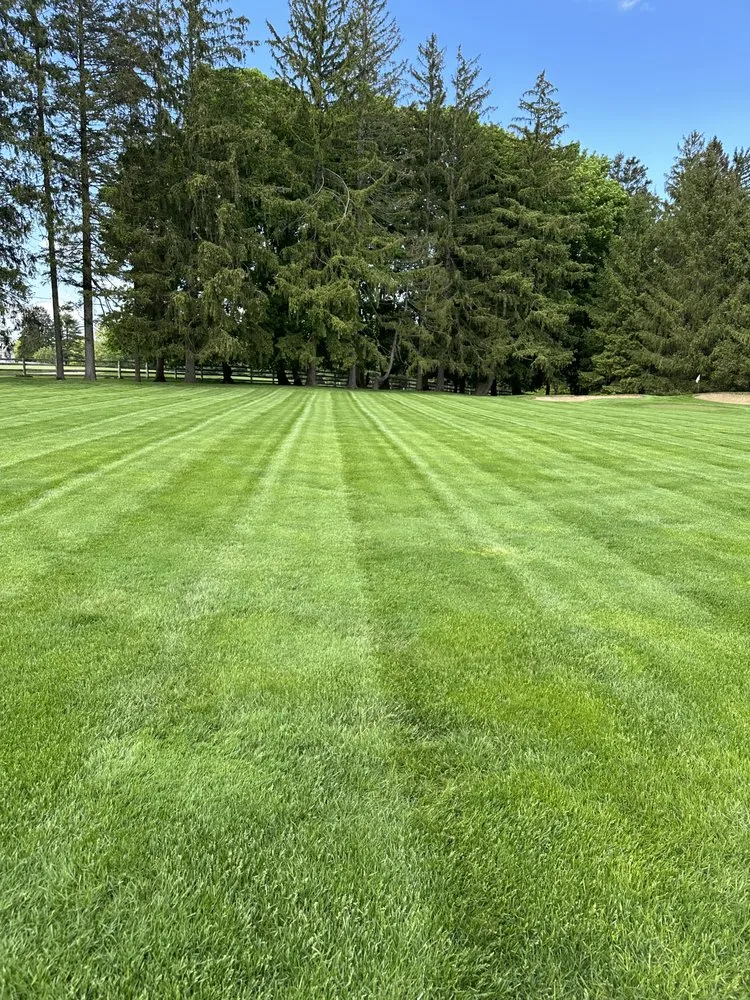 Top-rated garden landscaping experts serving New Rochelle, NY - JJ Landscaping Environemental