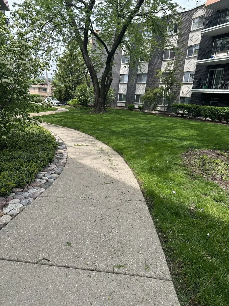 Reliable yard cleanup service experts serving Evanston, IL - JJ Landscaping