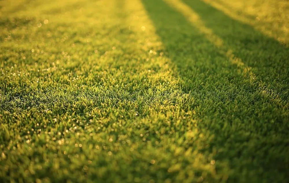 Top-rated yard maintenance experts serving Hagerstown, MD - J&J Landscaping