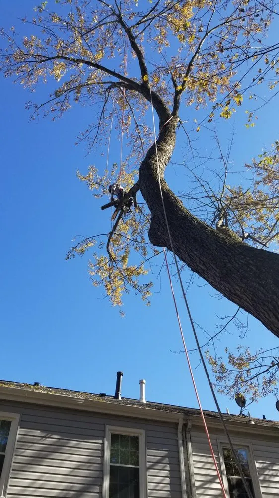 Local yard maintenance with custom design in Harrisonburg, VA by J&J Landscaping