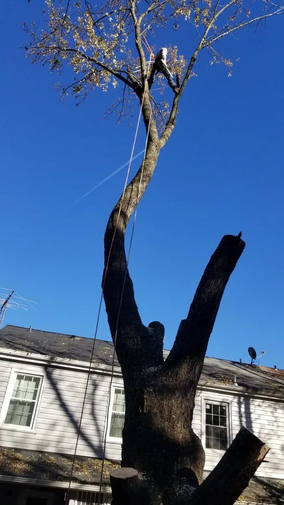 Trusted garden landscaping for outdoor upgrades in Harrisonburg, VA by J&J Landscaping