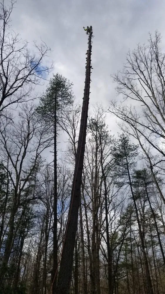 Expert landscape installation in Harrisonburg, VA - J&J Landscaping