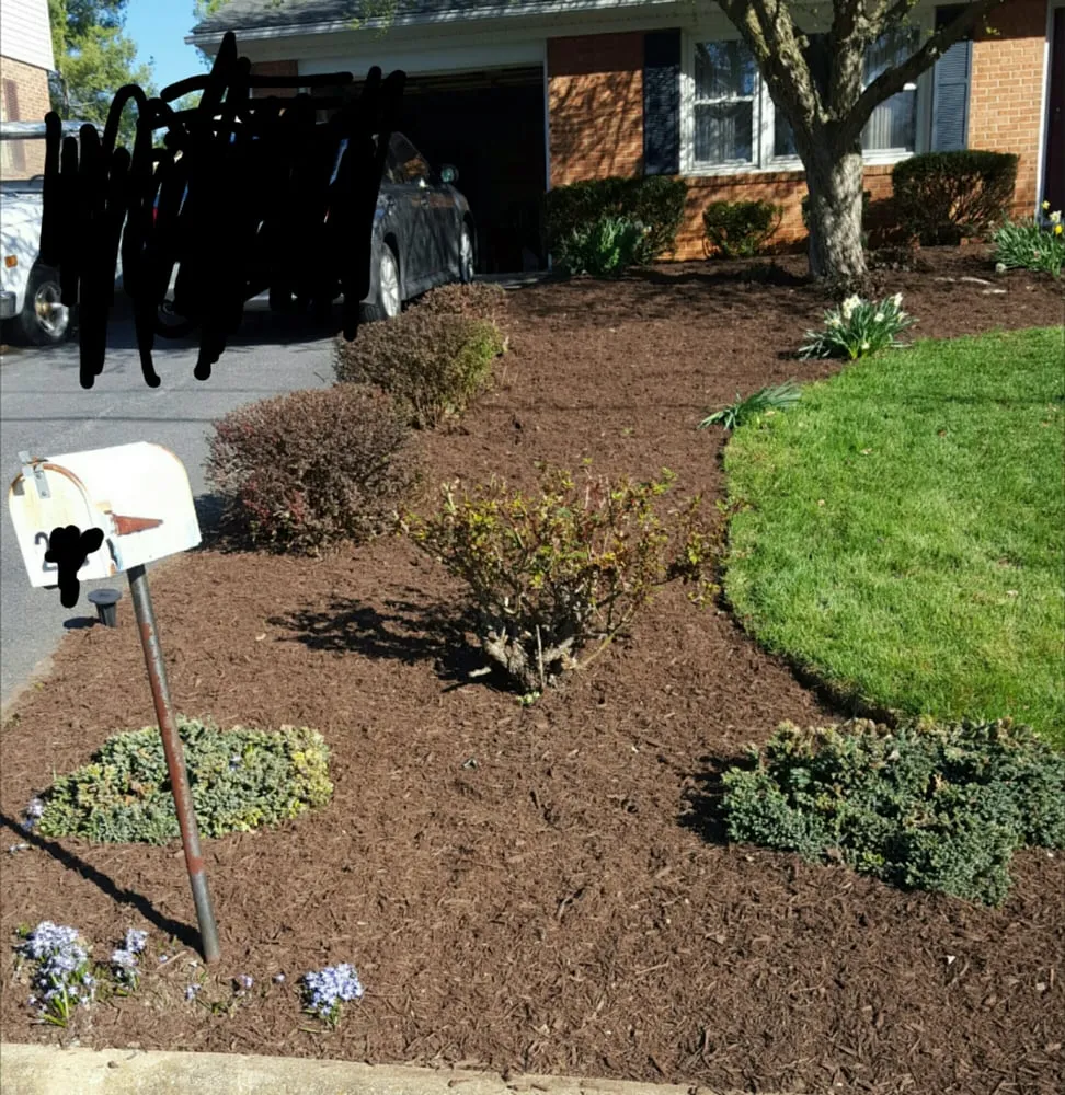 Reliable lawn mowing service in Harrisonburg, VA by J&J Landscaping